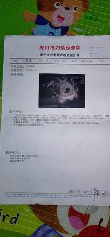 journal_insert_pic_1220885436