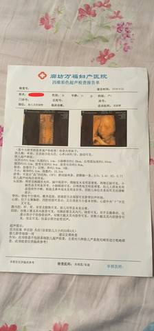 journal_insert_pic_1221307741