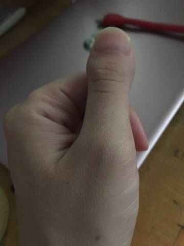 journal_insert_pic_1221439449