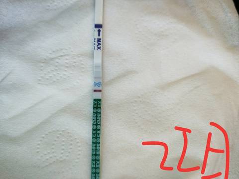 journal_insert_pic_1221581260