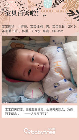 journal_insert_pic_1222075311