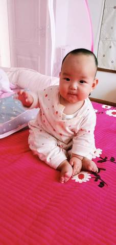 journal_insert_pic_1222060376