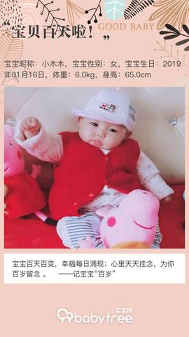 journal_insert_pic_1223295583