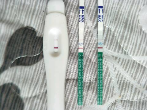 journal_insert_pic_1223082255