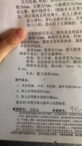 journal_insert_pic_1223425633