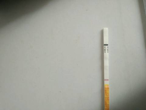 journal_insert_pic_1223220488