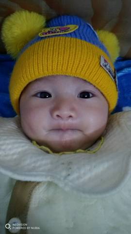 journal_insert_pic_1223154009