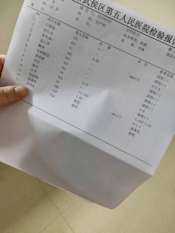 journal_insert_pic_1224265756
