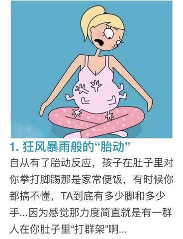 journal_insert_pic_1223883270