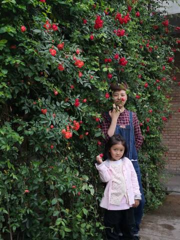 journal_insert_pic_1224907665