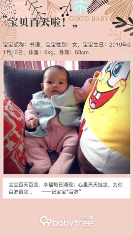journal_insert_pic_1224420267