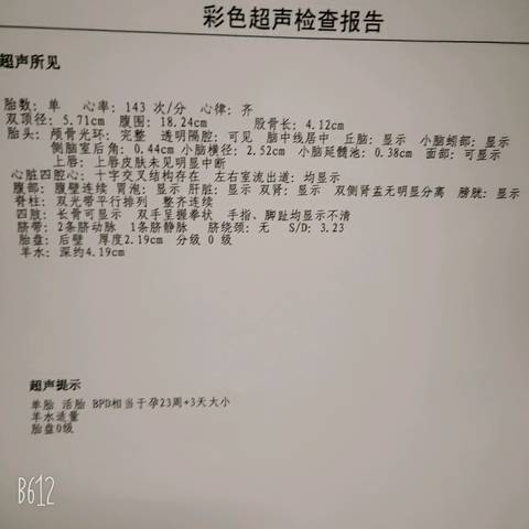 journal_insert_pic_1225310753