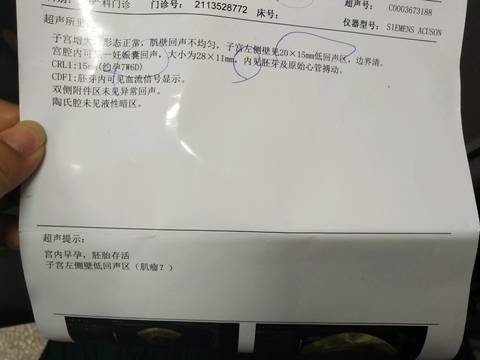 journal_insert_pic_1225250128