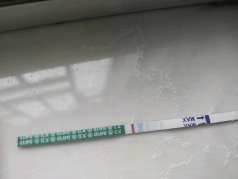 journal_insert_pic_1225011158