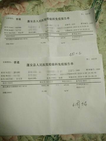 journal_insert_pic_1225348309