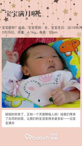 journal_insert_pic_1226075402