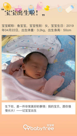 journal_insert_pic_1225737174