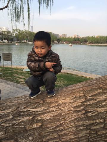 journal_insert_pic_1225870502