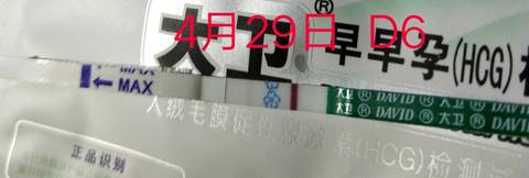 journal_insert_pic_1225886793
