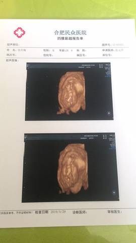 journal_insert_pic_1226105155