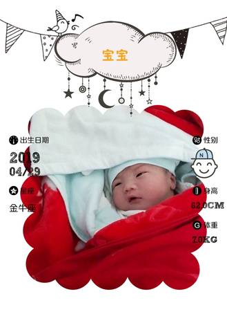 journal_insert_pic_1226593630