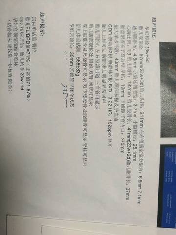 journal_insert_pic_1227101086