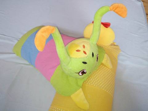 journal_insert_pic_1228224757