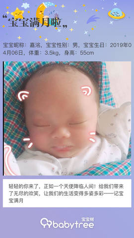 journal_insert_pic_1228149363