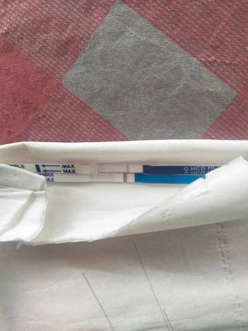 journal_insert_pic_1227956801