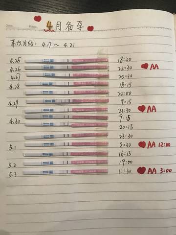 journal_insert_pic_1229275805