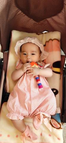 journal_insert_pic_1228665497