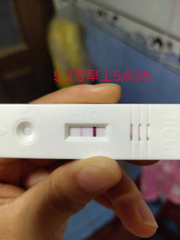 journal_insert_pic_1228830900