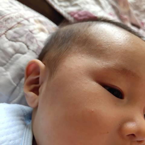 journal_insert_pic_1228861130