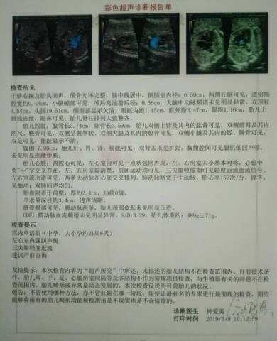 journal_insert_pic_1229796405