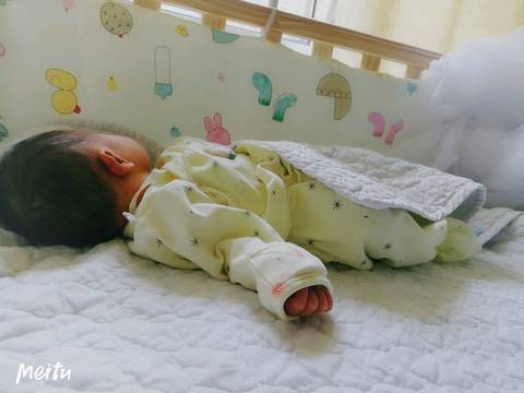 journal_insert_pic_1229811068