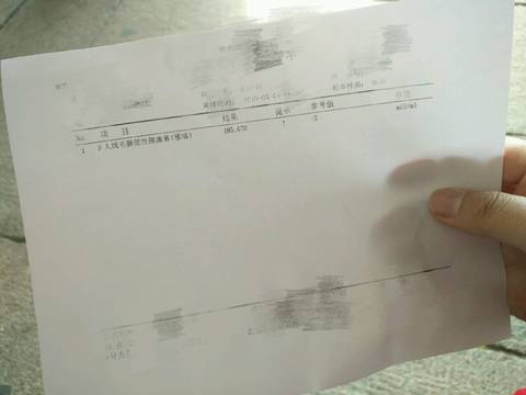 journal_insert_pic_1229708388