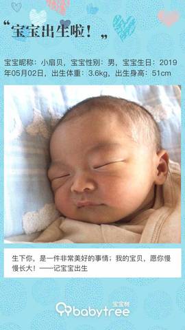 journal_insert_pic_1229850988