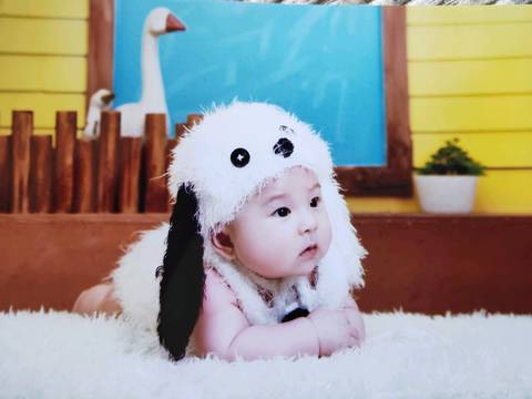 journal_insert_pic_1229492291