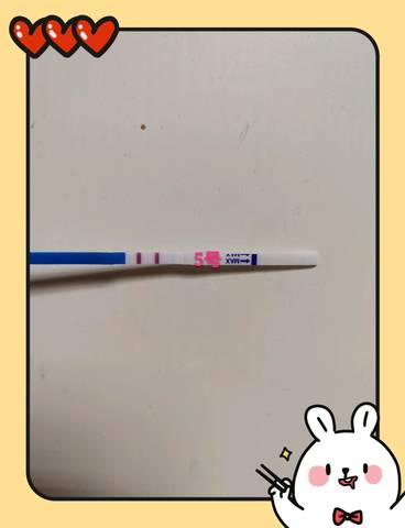 journal_insert_pic_1230146935