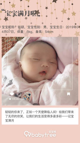 journal_insert_pic_1229857404