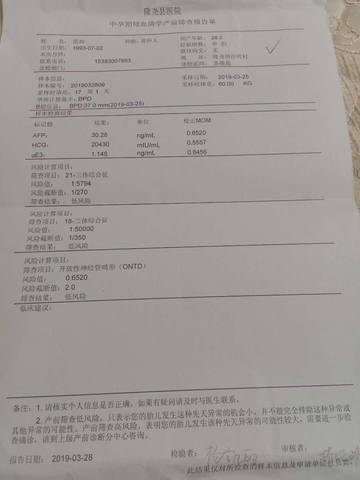 journal_insert_pic_1230380646