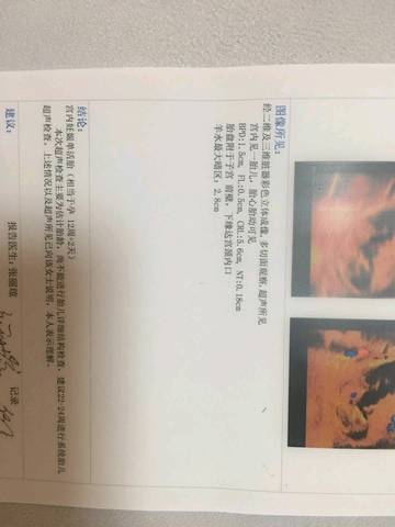 journal_insert_pic_1230450033