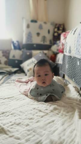 journal_insert_pic_1230756835
