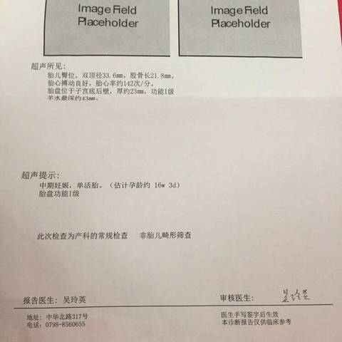 journal_insert_pic_1230369833