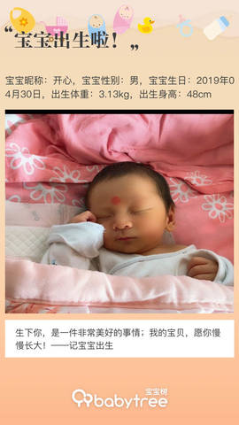 journal_insert_pic_1230334334