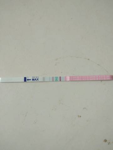 journal_insert_pic_1230411252