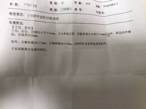 journal_insert_pic_1231254915