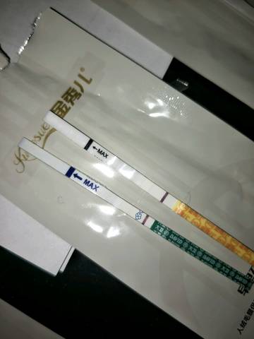 journal_insert_pic_1231055132