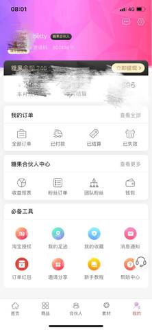 journal_insert_pic_1231064702