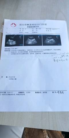 journal_insert_pic_1231193236